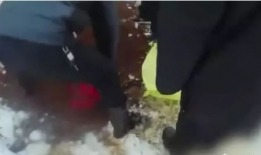 女生尿裤子视频,女生不慎尿裤子，真实视频记录