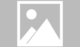 老虎视频,探索动物世界的神秘与魅力